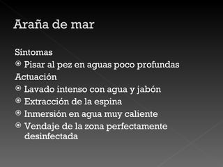 Síntomas Pisar al pez en aguas poco profundas Actuación Lavado intenso con agua y jabón Extracción de la espina  Inmersión en agua muy caliente  Vendaje de la zona perfectamente desinfectada 