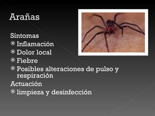 Síntomas Inflamación Dolor local Fiebre Posibles alteraciones de pulso y respiración Actuación limpieza y desinfección 
