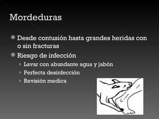 Desde contusión hasta grandes heridas con o sin fracturas Riesgo de infección Lavar con abundante agua y jabón  Perfecta desinfección  Revisión medica 