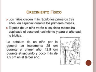 CRECIMIENTO FÍSICO
 Los niños crecen más rápido los primeros tres
años, en especial durante los primeros meses.
 El peso de un niño varón a los cinco meses ha
duplicado el peso del nacimiento y para el año casi
lo triplica.
La estatura de un niño por lo
general se incrementa 25 cm
durante el primer año, 12,5 cm
durante el segundo y poco más de
7,5 cm en el tercer año.
 