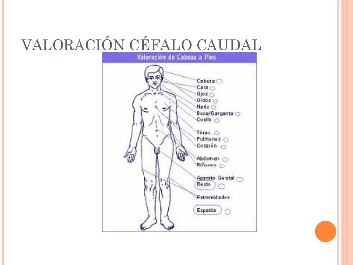 Primeros auxilios