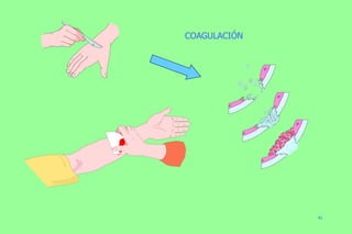 COAGULACIÓN 