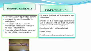 SINTOMAS GENERALES

 Dolor localizado en el punto de la fractura

 Impotencia funcional (incapacidad de
movimiento)
 Inflamación en el sitio de la lesión
producto de la acumulación del liquido
por efecto del traumatismo
 Crepitación, chasquido ( ruido producido
por el roce de los fragmentos óseos

PRIMEROS AUXILIOS

 