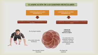 CLASIFICACIÓN DE LAS LESIONES MUSCULARES

LESIONES MUSCULARES
EXTRÍNSECAS

Son aquellas que se producen por un mecanismo directo como
un choque

En el propio tendón

A la unión músculo
tendinosa

En el propio vientre
muscular

LESIONES MUSCULARES
INTRÍNSECAS:

Son aquellas que se producen secundariamente a un mecanismo
interno

TIPOS DE
LESIONES
MUSCULARES.

Los músculos y los
tendones actúan en
conjunto, por ello
las lesiones pueden
afectar:

Al origen del
músculo

 