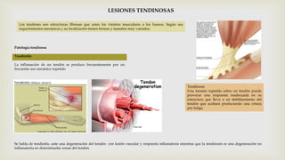 LESIONES TENDINOSAS
Los tendones son estructuras fibrosas que unen los vientres musculares a los huesos. Según sus
requerimientos mecánicos y su localización tienen formas y tamaños muy variados.

Patología tendinosa
Tendinitis
La inflamación de un tendón se produce frecuentemente por un
frecuente uso mecánico repetido

Tendinosis
Una tensión repetida sobre un tendón puede
provocar una respuesta inadecuada en su
estructura que lleva a un debilitamiento del
tendón que acabará produciendo una rotura
por fatiga.

Se habla de tendinitis, ante una degeneración del tendón con lesión vascular y respuesta inflamatoria mientras que la tendinosis es una degeneración no
inflamatoria en determinadas zonas del tendón.

 