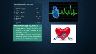 VALORES NORMALES DEL PULSO

•

RECIÉN NACIDO
140

120 –

•

1 – 11
160

MESES

100 -

•

2 A 10

AÑOS

80 - 120

•

ADULTO
90

•

ANCIANO
70

60 50 -

ANORMALIDADES DEL PULSO
• TAQUICARDIA: latido excesivo del
corazón o el pulso, superior a 100
latidos por minuto.
• BRADICARDIA: lentitud anormal de los
latidos del corazón, que se evidencia por
un tono de 60 pulsaciones o menor

 