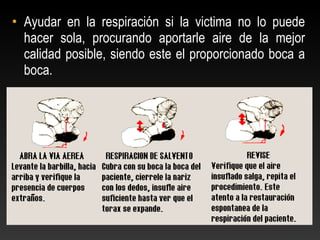 • Ayudar en la respiración si la victima no lo puede
hacer sola, procurando aportarle aire de la mejor
calidad posible, siendo este el proporcionado boca a
boca.
 