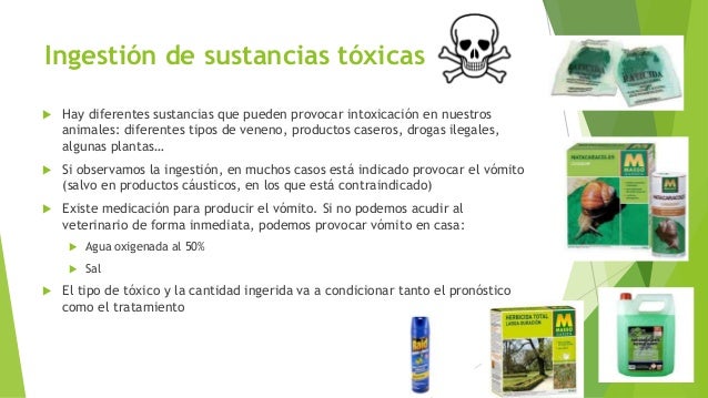 Primeros auxilios Primeros auxilios