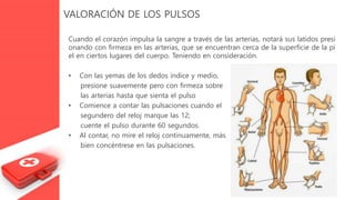 VALORACIÓN DE LOS PULSOS
Cuando el corazón impulsa la sangre a través de las arterias, notará sus latidos presi
onando con firmeza en las arterias, que se encuentran cerca de la superficie de la pi
el en ciertos lugares del cuerpo. Teniendo en consideración.
• Con las yemas de los dedos índice y medio,
presione suavemente pero con firmeza sobre
las arterias hasta que sienta el pulso
• Comience a contar las pulsaciones cuando el
segundero del reloj marque las 12;
cuente el pulso durante 60 segundos.
• Al contar, no mire el reloj continuamente, más
bien concéntrese en las pulsaciones.
 