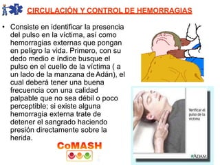 CIRCULACIÓN Y CONTROL DE HEMORRAGIAS
• Consiste en identificar la presencia
del pulso en la víctima, así como
hemorragias externas que pongan
en peligro la vida. Primero, con su
dedo medio e índice busque el
pulso en el cuello de la víctima ( a
un lado de la manzana de Adán), el
cual deberá tener una buena
frecuencia con una calidad
palpable que no sea débil o poco
perceptible; si existe alguna
hemorragia externa trate de
detener el sangrado haciendo
presión directamente sobre la
herida.
 