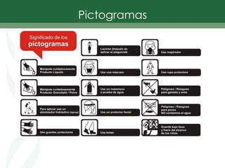 Pictogramas
 