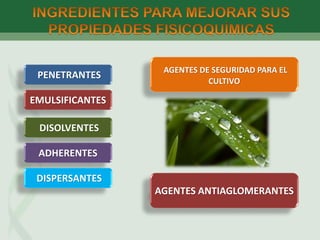 PENETRANTES
EMULSIFICANTES
DISOLVENTES
ADHERENTES
DISPERSANTES
AGENTES DE SEGURIDAD PARA EL
CULTIVO
AGENTES ANTIAGLOMERANTES
 
