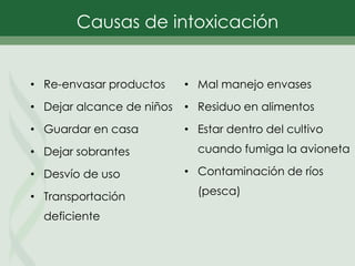 • Re-envasar productos
• Dejar alcance de niños
• Guardar en casa
• Dejar sobrantes
• Desvío de uso
• Transportación
deficiente
• Mal manejo envases
• Residuo en alimentos
• Estar dentro del cultivo
cuando fumiga la avioneta
• Contaminación de ríos
(pesca)
Causas de intoxicación
 