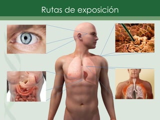 Rutas de exposición
 