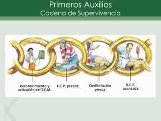 Primeros Auxilios
Cadena de Supervivencia
 