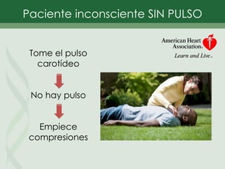 Paciente inconsciente SIN PULSO
Tome el pulso
carotídeo
No hay pulso
Empiece
compresiones
 
