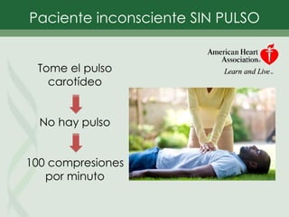 Paciente inconsciente SIN PULSO
Tome el pulso
carotídeo
No hay pulso
100 compresiones
por minuto
 