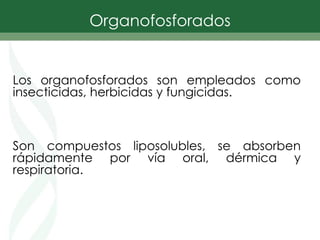 Los organofosforados son empleados como
insecticidas, herbicidas y fungicidas.
Son compuestos liposolubles, se absorben
rápidamente por vía oral, dérmica y
respiratoria.
Organofosforados
 