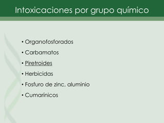 • Organofosforados
• Carbamatos
• Piretroides
• Herbicidas
• Fosfuro de zinc, aluminio
• Cumarínicos
Intoxicaciones por grupo químico
 