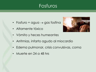 • Fosfuro + agua  gas fosfina
• Altamente tóxico
• Vómito y heces humeantes
• Arritmias, infarto agudo al miocardio
• Edema pulmonar, crisis convulsivas, coma
• Muerte en 24 a 48 hrs
Fosfuros
 