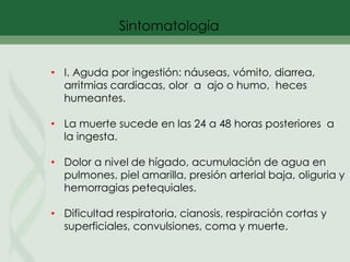 • I. Aguda por ingestión: náuseas, vómito, diarrea,
arritmias cardiacas, olor a ajo o humo, heces
humeantes.
• La muerte sucede en las 24 a 48 horas posteriores a
la ingesta.
• Dolor a nivel de hígado, acumulación de agua en
pulmones, piel amarilla, presión arterial baja, oliguria y
hemorragias petequiales.
• Dificultad respiratoria, cianosis, respiración cortas y
superficiales, convulsiones, coma y muerte.
 