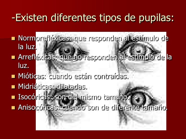Primeros Auxilios