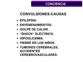 CONCIENCIA


    CONVULSIONES-CAUSAS
•   EPILEPSIA.
•   ENVENENAMIENTOS.
•   GOLPE DE CALOR.
•   “SHOCK” ELÉCTRICO.
•   HIPOGLICEMIA.
•   FIEBRE EN LOS NIÑOS.
•   TUMORES CEREBRALES,
    ACCIDENTES
    CEREBROVASCULARES.
 