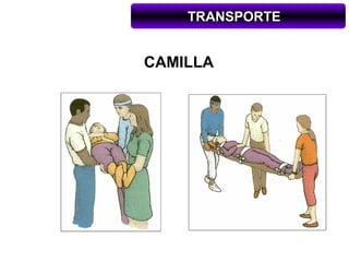 TRANSPORTE


CAMILLA
 