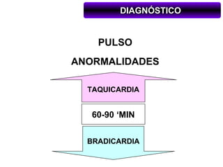 DIAGNÓSTICO


    PULSO
ANORMALIDADES

  TAQUICARDIA


   60-90 ‘MIN


  BRADICARDIA
 