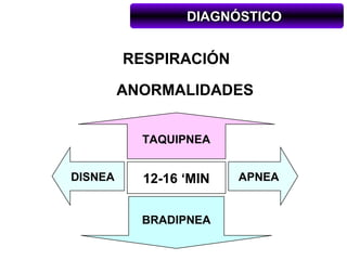 DIAGNÓSTICO


         RESPIRACIÓN

         ANORMALIDADES


           TAQUIPNEA


DISNEA     12-16 ‘MIN   APNEA


           BRADIPNEA
 