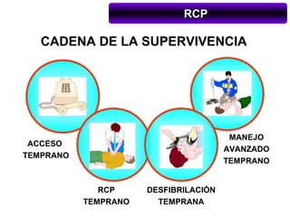 RCP

   CADENA DE LA SUPERVIVENCIA




                                        MANEJO
 ACCESO
                                       AVANZADO
TEMPRANO
                                       TEMPRANO


              RCP     DESFIBRILACIÓN
           TEMPRANO     TEMPRANA
 