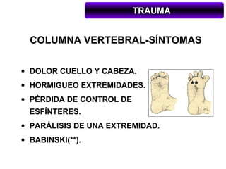 TRAUMA


  COLUMNA VERTEBRAL-SÍNTOMAS

• DOLOR CUELLO Y CABEZA.
• HORMIGUEO EXTREMIDADES.          **
• PÉRDIDA DE CONTROL DE
  ESFÍNTERES.
• PARÁLISIS DE UNA EXTREMIDAD.
• BABINSKI(**).
 