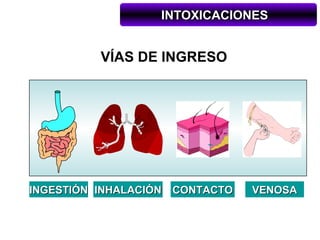 INTOXICACIONES


          VÍAS DE INGRESO




INGESTIÓN INHALACIÓN CONTACTO   VENOSA
 