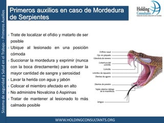 SistemadeseguridadySaludenelTrabajo–PrimerosAuxilios
WWW.HOLDINGCONSULTANTS.ORG
Trate de localizar el ofídio y matarlo de ser
posible
Ubique al lesionado en una posición
cómoda
Succionar la mordedura y exprimir (nunca
con la boca directamente) para extraer la
mayor cantidad de sangre y serosidad
Lavar la herida con agua y jabón
Colocar el miembro afectado en alto
No administre Novalcina ó Aspirinas
Tratar de mantener al lesionado lo más
calmado posible
Primeros auxilios en caso de Mordedura
de Serpientes
 