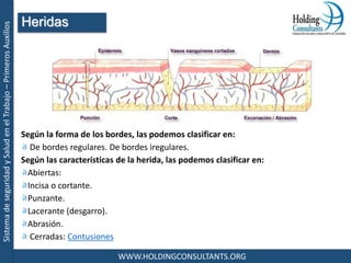 SistemadeseguridadySaludenelTrabajo–PrimerosAuxilios
WWW.HOLDINGCONSULTANTS.ORG
Según la forma de los bordes, las podemos clasificar en:
De bordes regulares. De bordes iregulares.
Según las características de la herida, las podemos clasificar en:
Abiertas:
Incisa o cortante.
Punzante.
Lacerante (desgarro).
Abrasión.
Cerradas: Contusiones
Heridas
 