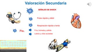 Valoración Secundaria
SEÑALES DE SHOCK
Pulso rápido y débil
Respiración rápida o lenta
Fría, húmeda y pálida
Labios y uñas azuladas
PieL
 