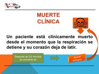 MUERTE
CLÍNICA
Un paciente está clínicamente muerto
desde el momento que la respiración se
detiene y su corazón deja de latir.
Después de 5,6 minutos
se convierte en
 