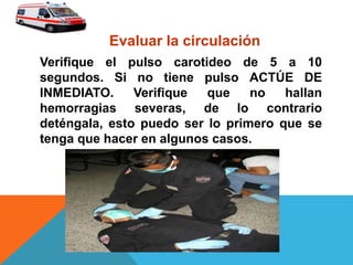 Evaluar la circulación
Verifique el pulso carotideo de 5 a 10
segundos. Si no tiene pulso ACTÚE DE
INMEDIATO. Verifique que no hallan
hemorragias severas, de lo contrario
deténgala, esto puedo ser lo primero que se
tenga que hacer en algunos casos.
 