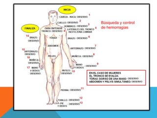 Búsqueda y control
de hemorragias
 