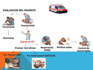EVALUACION DEL PACIENTE
Inconsciente
Consciente
Entrevista
Llamar al 115
Evaluar vías aéreas
Por Trauma (EM) Por Enfermedad (EXCELM)
Respiración
(VOS)
Verificar pulso Control de
hemorragias
 