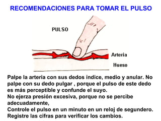 RECOMENDACIONES PARA TOMAR EL PULSO Palpe la arteria con sus dedos índice, medio y anular. No palpe con su dedo pulgar , p...