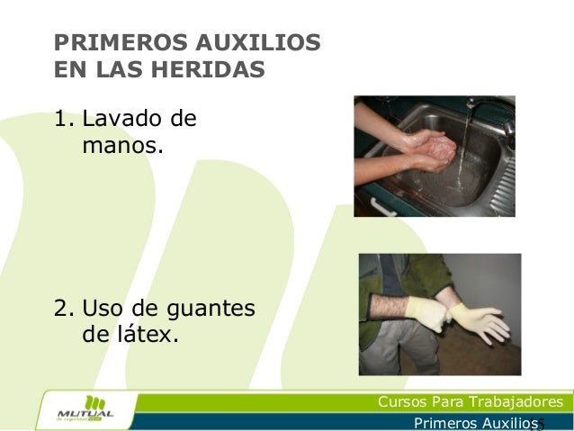 El tratamiento de la hernia shmorlya en el departamento de pecho