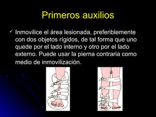 Primeros auxilios
 Inmovilice el área lesionada, preferiblemente
con dos objetos rígidos, de tal forma que uno
quede por el lado interno y otro por el lado
externo. Puede usar la pierna contraria como
medio de inmovilización.
 