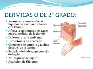 DERMICAS O DE 2° GRADO:
 se asocian a inmersión en
líquidos calientes o contactos
con llamas
 Afecta la epidermis y las capas
mas superficial de la dermis
 Dolorosa al aire ambiental
 Escarotomia no necesaria
 Cicatrización entre 10 y 14 días
después de la lesión
 Secuelas de la despigmentación
de la piel
 No requiere de injerto
 Aparición de flictenas
 