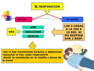 VES
VER
ESCUCHAR
SENTIR
B: RESPIRACION
RESPIRA NO RESPIRA
LAS 3 COSAS
A LA VEZ X
10 SEG. SI
NO RESPIRA
DAR 2 RESP.
-Ver si hay movimiento torácico o abdominal
-Escuchar si hay ruido respiratorio
-Sentir la exhalación en la mejilla o dorso de
la mano
 
