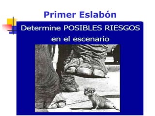 Primer Eslabón
 
