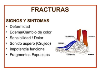 FRACTURAS
SIGNOS Y SINTOMAS
• Deformidad
• Edema/Cambio de color
• Sensibilidad / Dolor
• Sonido áspero (Crujido)
• Impotencia funcional
• Fragmentos Expuestos
MUSCULOS
HUESOS
 