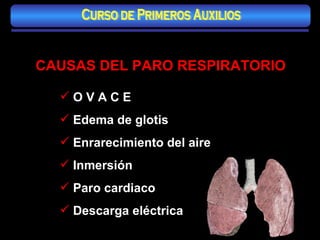 CAUSAS DEL PARO RESPIRATORIO O V A C E Edema de glotis Enrarecimiento del aire Inmersión Paro cardiaco Descarga eléctrica   Curso de Primeros Auxilios 