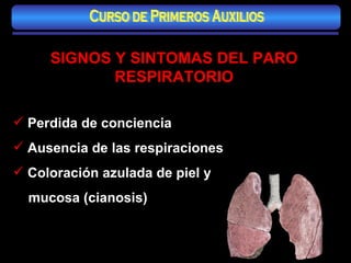 SIGNOS Y SINTOMAS DEL PARO RESPIRATORIO Perdida de conciencia Ausencia de las respiraciones Coloración azulada de piel y mucosa (cianosis) Curso de Primeros Auxilios 