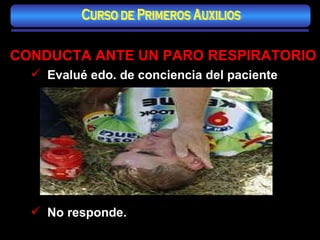 CONDUCTA ANTE UN PARO RESPIRATORIO Evalué edo. de conciencia del paciente No responde. Curso de Primeros Auxilios 